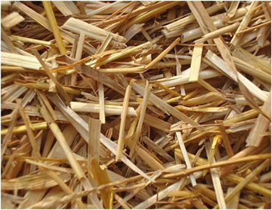 pellets from Agricultural waste