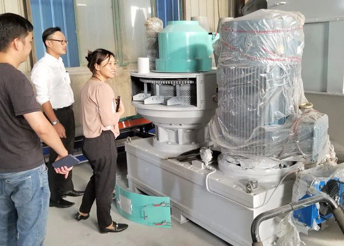pl24241260-vertical_type_pellet_mill_machine_for_en_plus_a1_standard_pellets pl24241260-vertical_type_pellet_mill_machine_for_en_plus_a1_standard_pellets